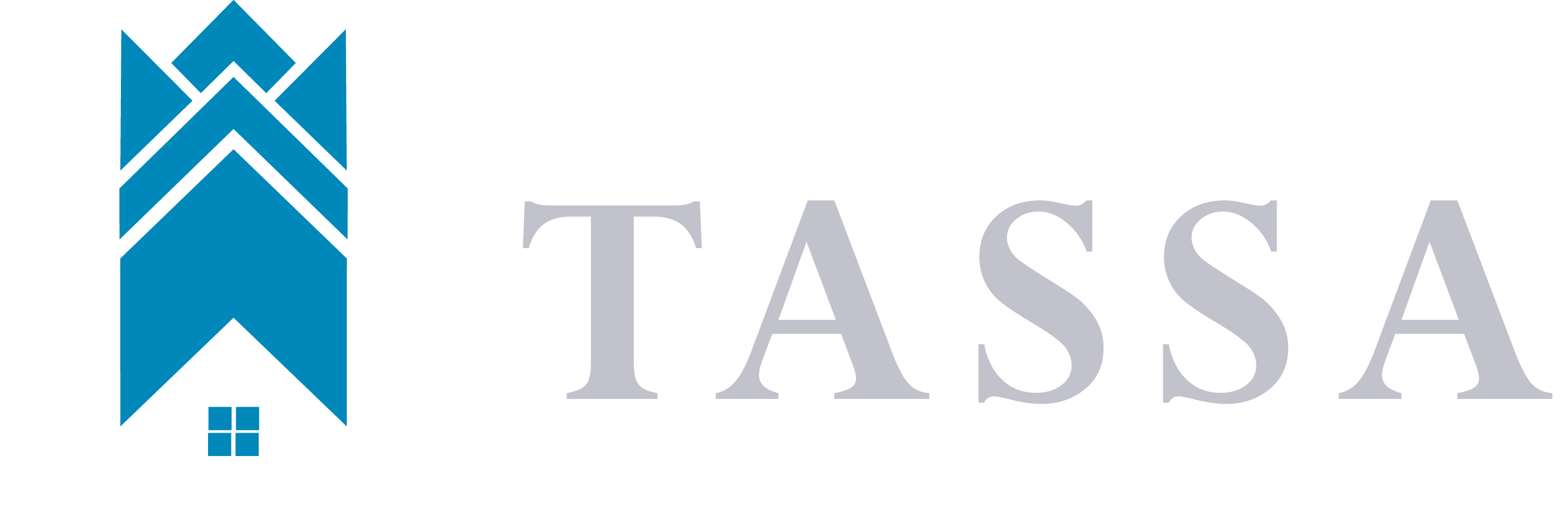 Tassa Construction